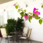 inspiration - outside 21.jpg